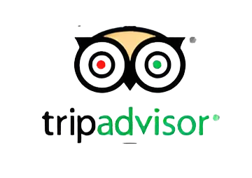 TripAdvisor Logo