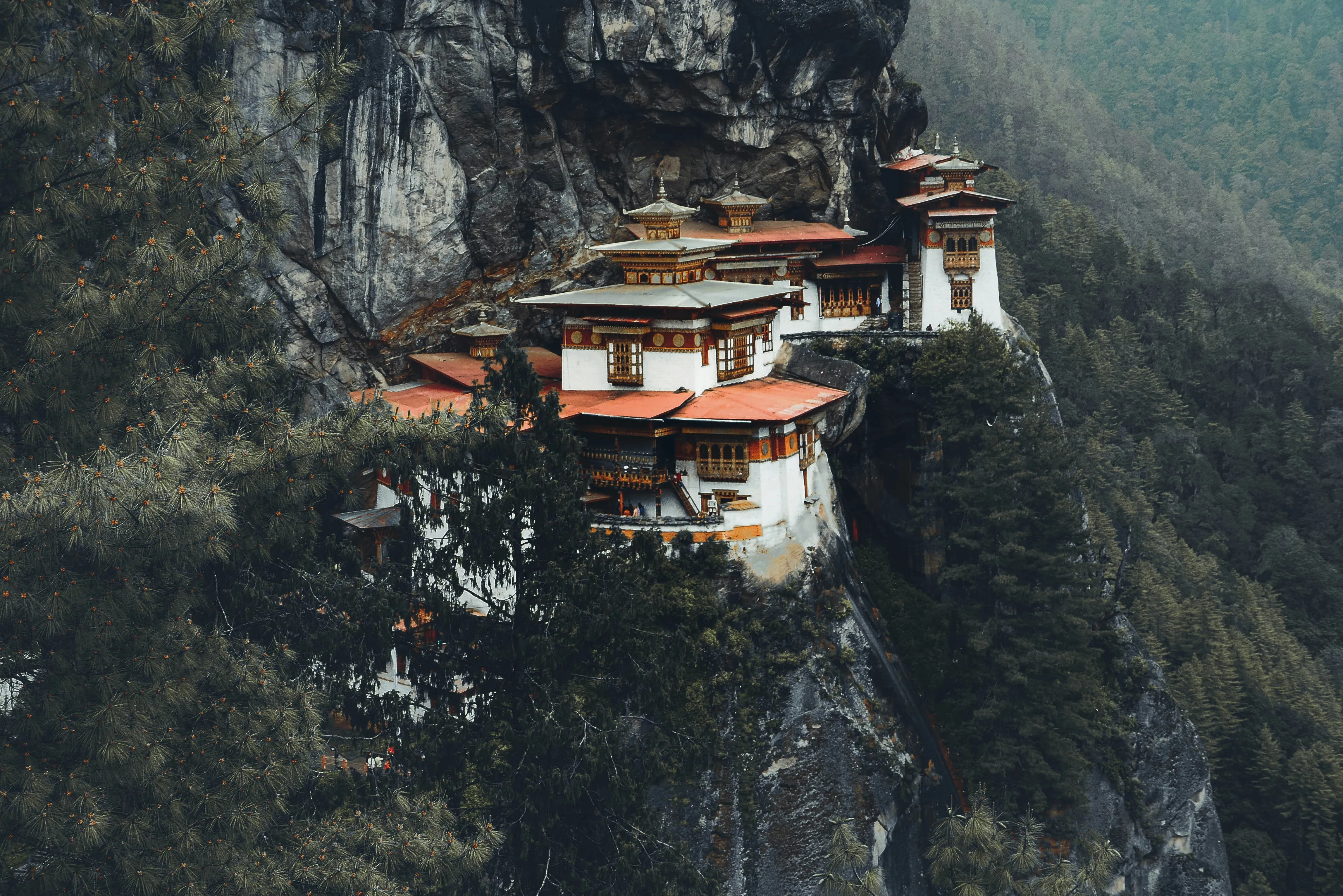 Curating Exceptional Journeys Across India