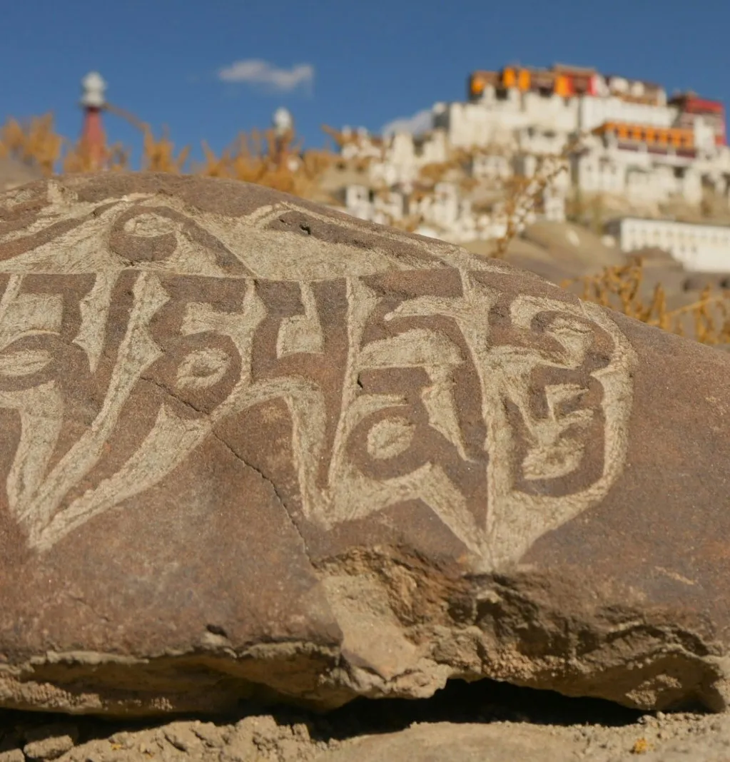 Buddhist Monk in Ladakh Himalayas